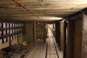 20221020165242_IMG_6619